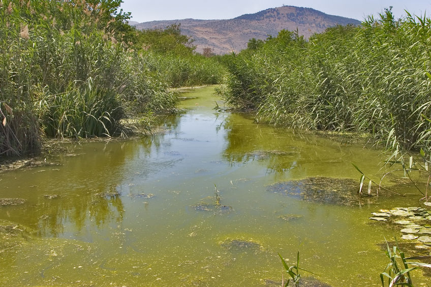 What Is Meant By Stagnant Water